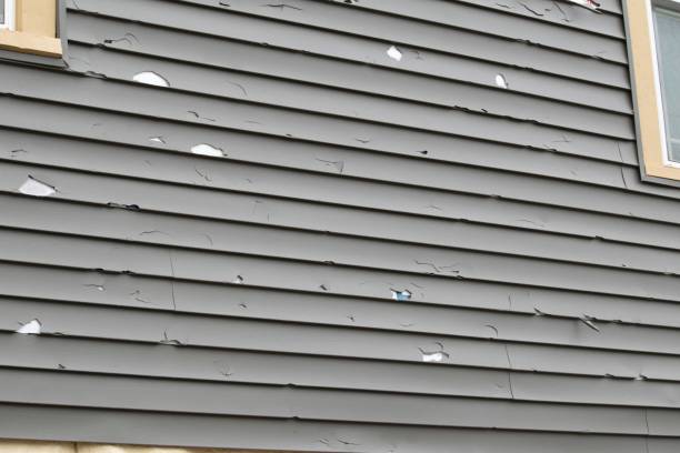 Professional Junk Removal in Spinnerstown, PA